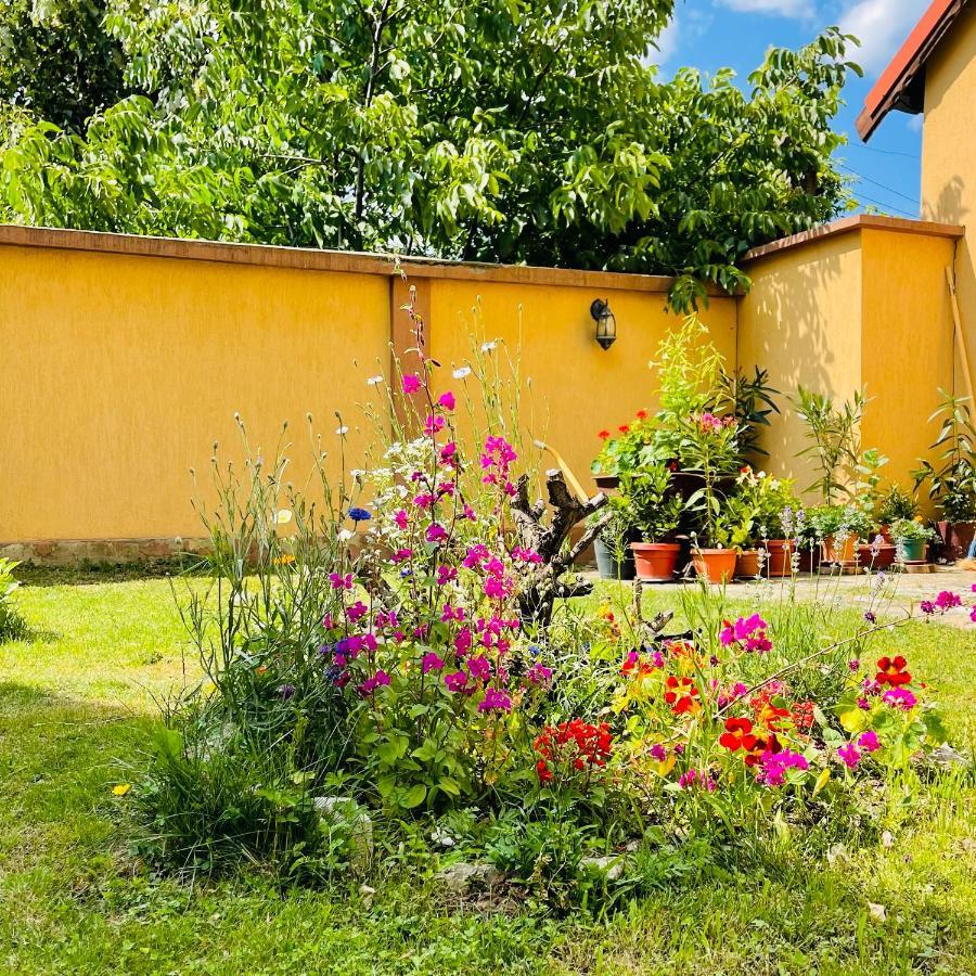 Leto House Apartment Targu Jiu Bagian luar foto