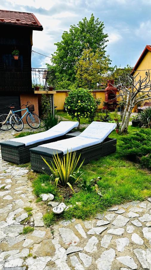 Leto House Apartment Targu Jiu Bagian luar foto
