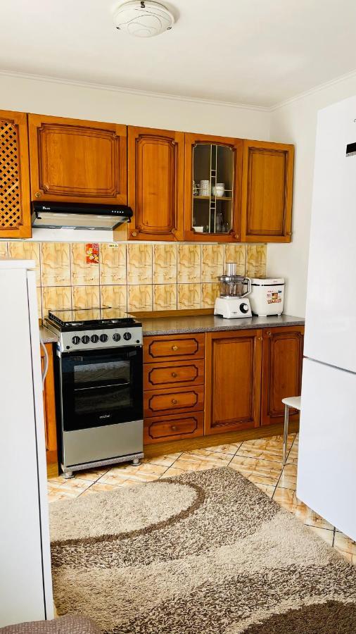 Leto House Apartment Targu Jiu Bagian luar foto